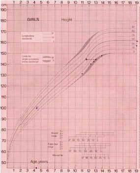 css.jpg (31028 bytes)