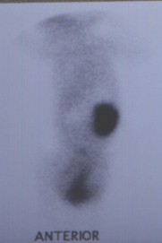 q4
